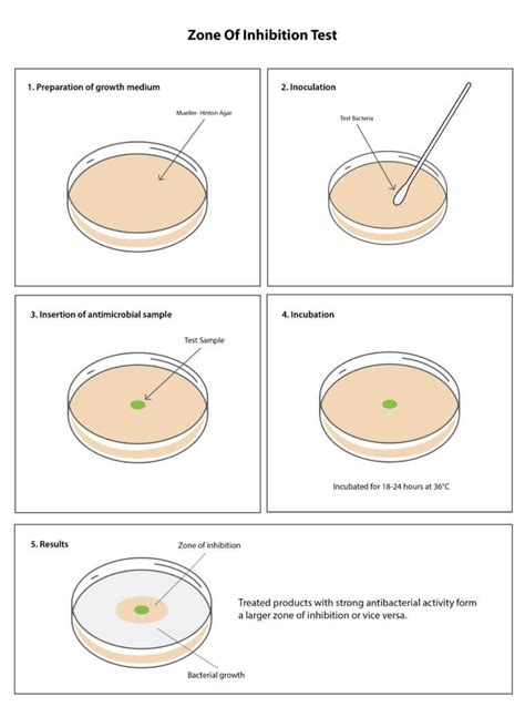 kbbb test|What Is zone of inhibition in Microbiology .